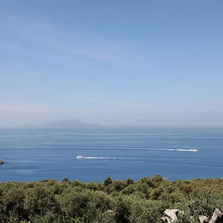 Bed & Breakfast Puolo -