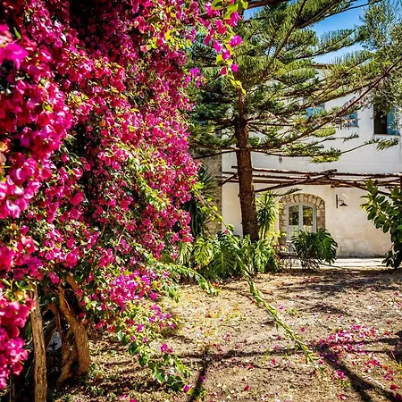 Puolo - With Private Sea Access 4* Sorrento